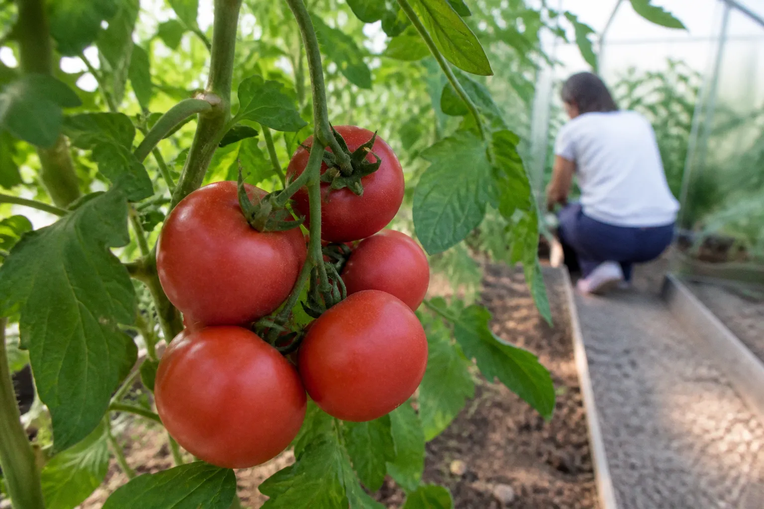 Продукты для борьбы с окислительным стрессом после 50 лет